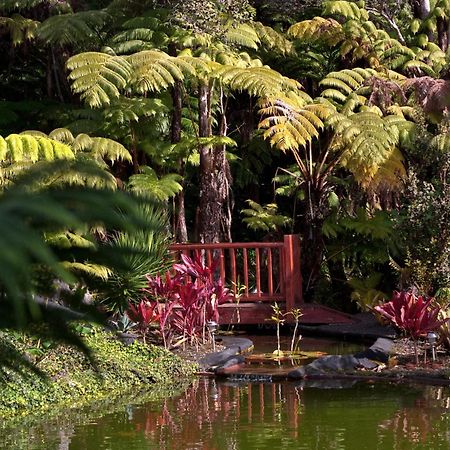 Chalet Kilauea Волкано Экстерьер фото